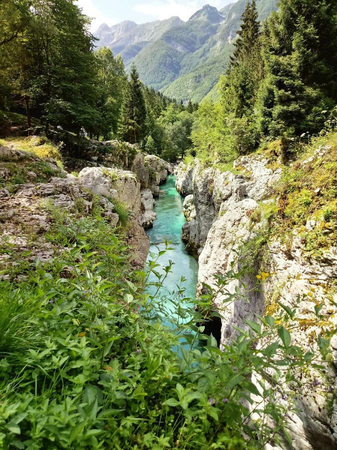 Beti Blu, Kaninska Vas Bovec Exterior photo